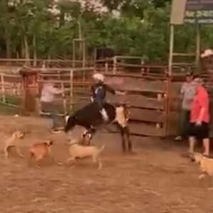 Meet your Posher, Caleb